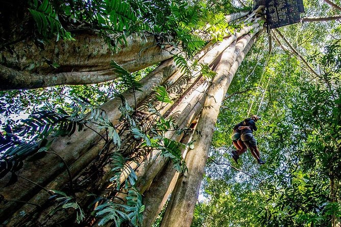 Chiang Mai Zipline White Water Rafting and Elephant Sanctuary - What to bring and how to pace yourself