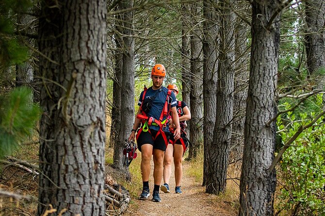 Christchurch Zipline Tour - Who will enjoy this most?