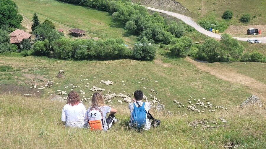 Cluj: Outdoor Activities Day Trip with Zip Line and Hike - What makes the scenery worth the effort