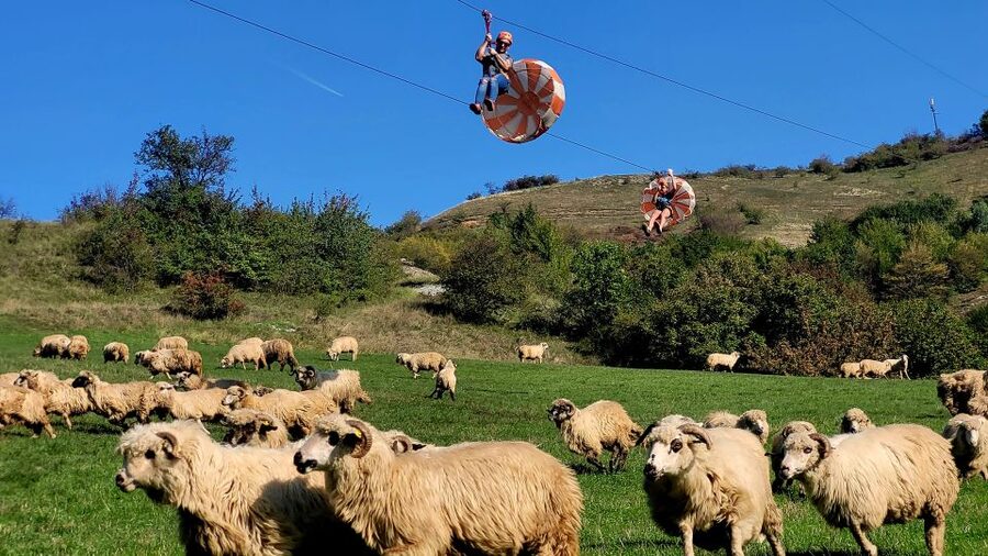 Cluj: Outdoor Activities Day Trip with Zip Line and Hike - Is $115 good value for six hours?