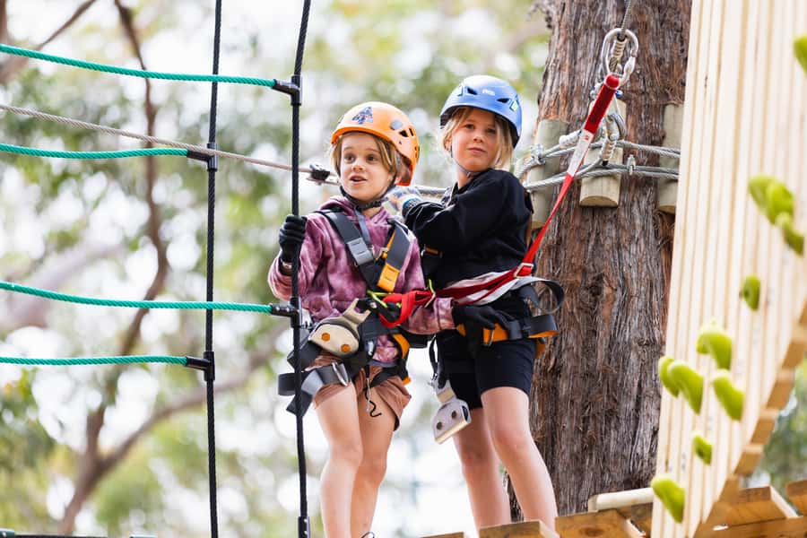 Coffs Harbour: Junior Tree Ropes Course - A first taste of tree ropes in Orara East State Forest