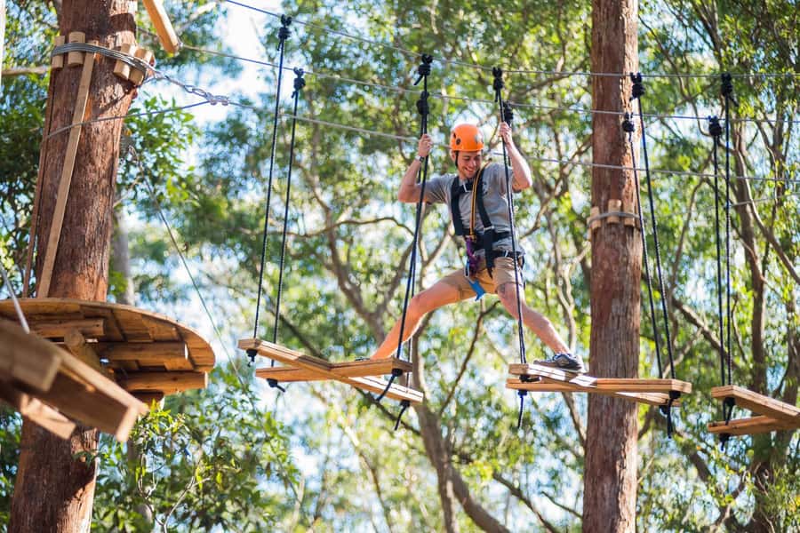Coffs Harbour: Treetops Adventure Tree Ropes Course - What the 150-minute session feels like
