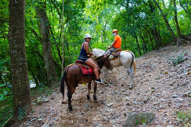 Combo RZR Zip Lines and Mule Ride Jorullo Route - Is $391 per group a fair price?