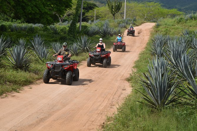 COMBO Zip lines and ATV´s at Hacienda Los Osuna - Eight zip lines, 11 platforms, and three forest walks