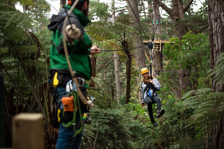 Coromandel: Guided Zipline Tour Experience - A mountain railway instead of a shuttle bus