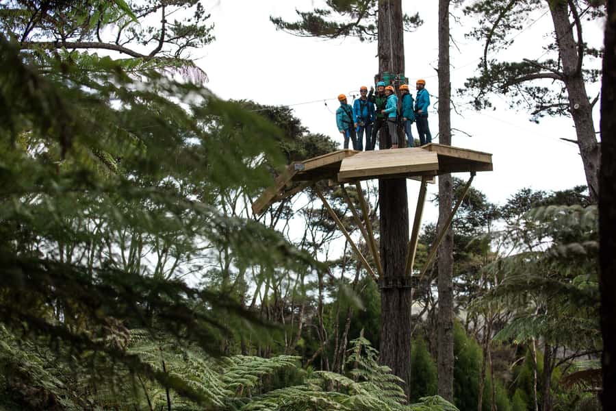 Coromandel: Guided Zipline Tour Experience - Getting kitted up before the first line