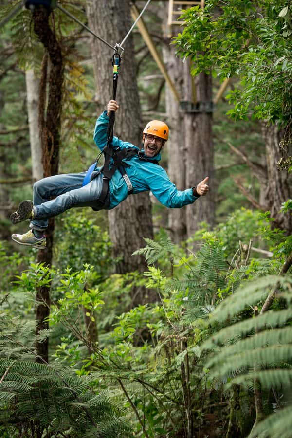 Coromandel: Guided Zipline Tour Experience - Is the $87 price good value?