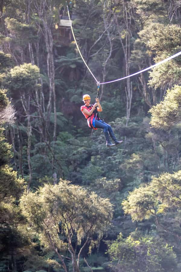 Coromandel: Guided Zipline Tour Experience - What the guide style adds