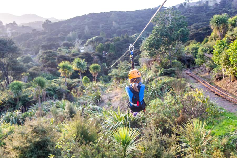 Coromandel: Guided Zipline Tour Experience - Practical limits and booking flexibility