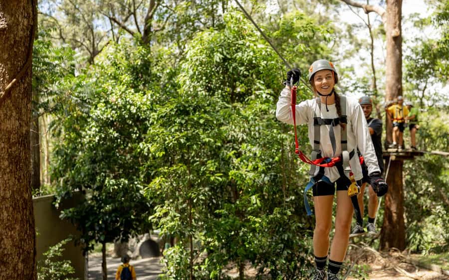 Currumbin: Treetop Challenge Adventure Park - Key points at a glance