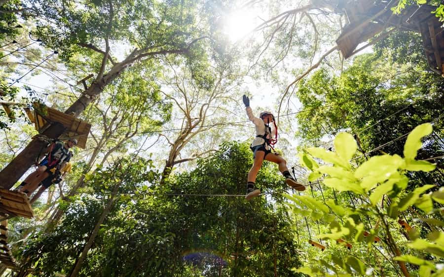 Currumbin: Treetop Challenge Adventure Park - The green courses build confidence first