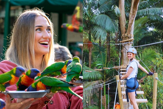 Currumbin Wildlife Sanctuary Pass + The Treetop Challenge - Start among koalas, kangaroos, and crocodiles