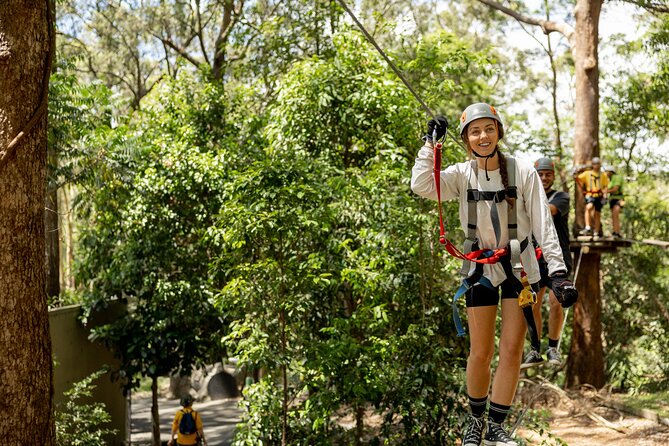 Currumbin Wildlife Sanctuary Pass + The Treetop Challenge - The ziplines are thrilling, but not the whole course