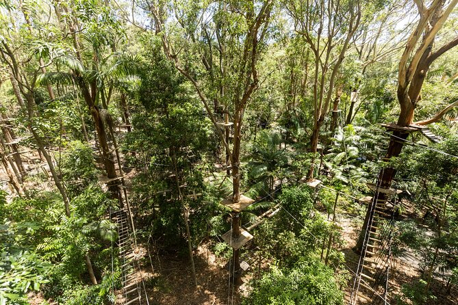 Currumbin Wildlife Sanctuary Pass + The Treetop Challenge - How demanding is the three-hour course?