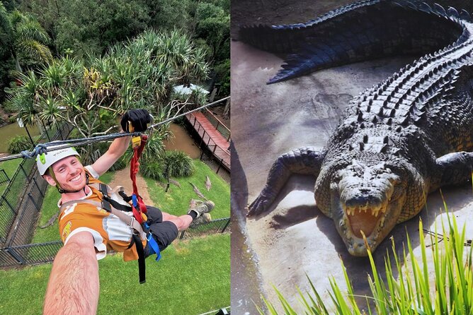 Currumbin Wildlife Sanctuary Pass + The Treetop Challenge - Height and age rules can shape your booking