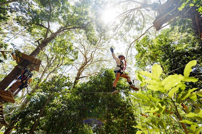 Currumbin Wildlife Sanctuary Pass + The Treetop Challenge - Is $78.18 good value?