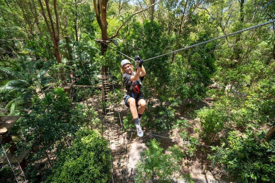 Currumbin Wildlife Sanctuary & TreeTop Challenge Combo - Starting among Australian animals