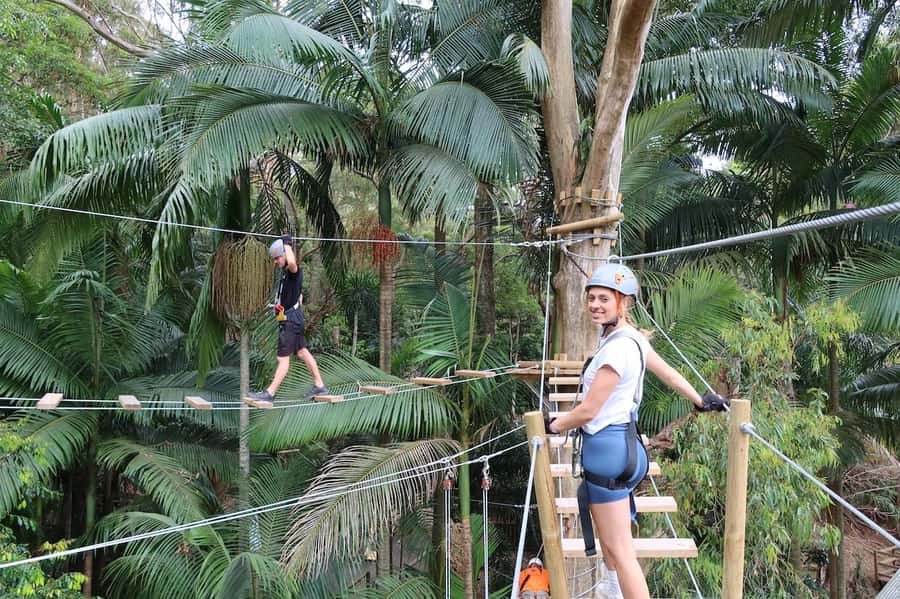 Currumbin Wildlife Sanctuary & TreeTop Challenge Combo - Seven courses, from green circuits to black diamonds