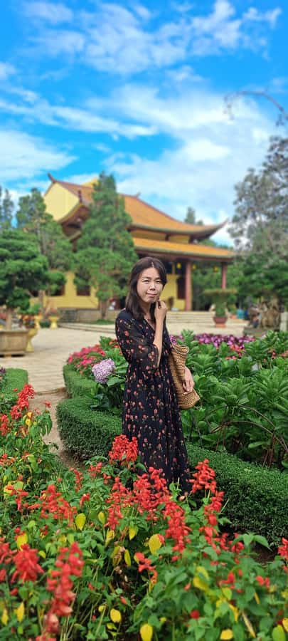 Dalat city tour by private car Combined train trip, Ziplines - Datanla Waterfall by roller coaster or zipline