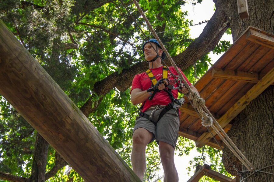 Dallas: Aerial Adventure Course Park Pass - Three Hours Above the Dallas Forest