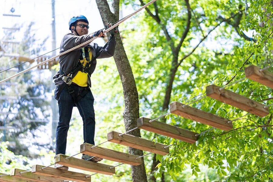 Dallas: Aerial Adventure Course Park Pass - Starting with Suspended Logs and Rope Bridges