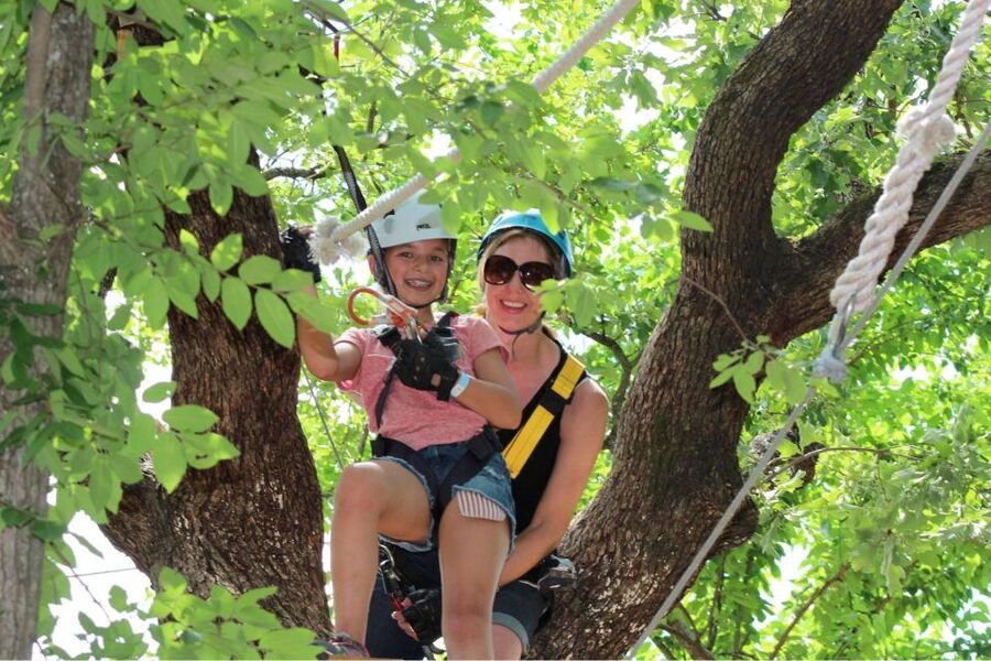Dallas: Aerial Adventure Course Park Pass - Choosing a Course That Fits Your Nerve