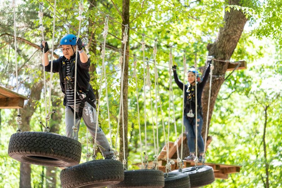 Dallas: Aerial Adventure Course Park Pass - Should You Book Trinity Forest Adventure Park?