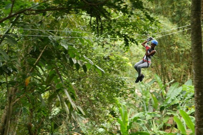 Day of Adventure - Zipline and Hike or Bike - Twelve ziplines through St. Lucia’s rainforest
