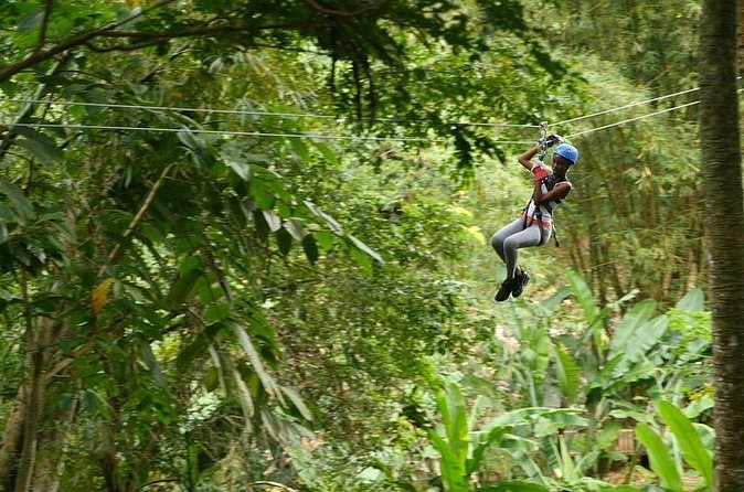 Day of Adventure - Zipline and Hike or Bike - What the praise tells you about the day