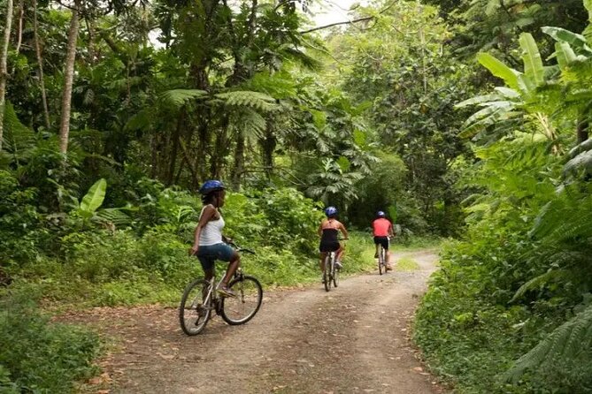 Day of Adventure - Zipline and Hike or Bike - Booking timing and cancellation