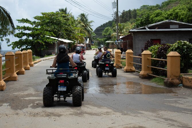 Day Tour in Roatan: ATV, Sloths, Monkeys and Zipline - Ziplining above Roatan’s harbor