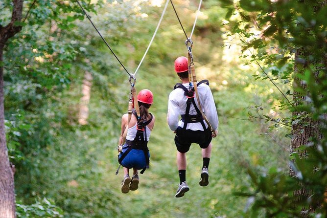 Day Trip to Kereita Forest and Ziplining - From Nairobi to Kereita Forest by 8:15 am