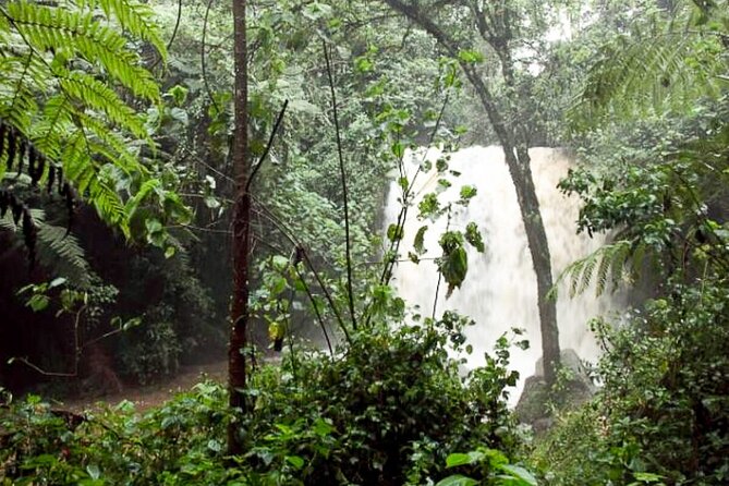 Day Trip to Kereita Forest and Ziplining - Elephant Pool and Kereita Waterfall
