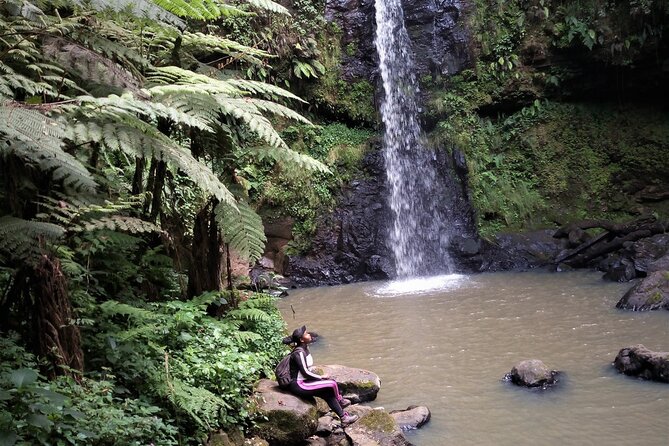 Day Trip to Kereita Forest and Ziplining - Horseback riding, archery, and other choices