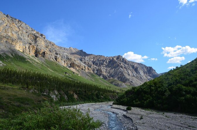 Denali Park Zipline Adventure - Key things to know before you book