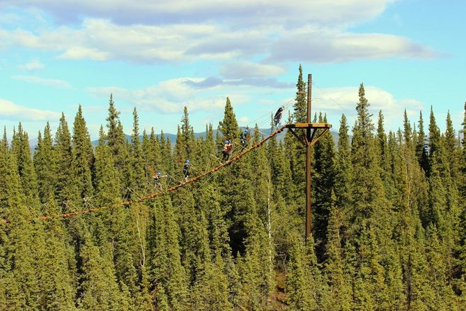 Denali Park Zipline Adventure - A zipline course with a real Alaska setting