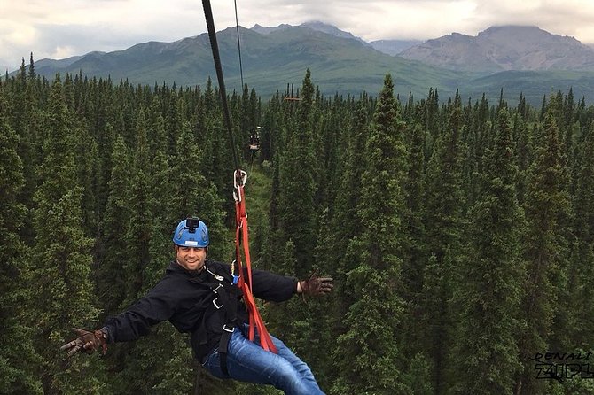 Denali Park Zipline Adventure - Seven lines through the boreal forest