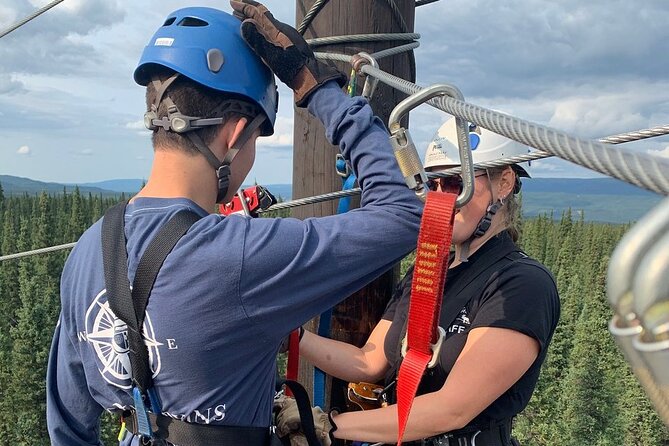 Denali Park Zipline Adventure - Is $208.99 a fair price?