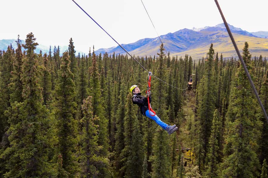 Denali Park Zipline Adventure - Safety systems and guide support
