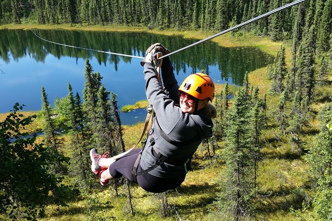 Denali Zipline Tour in Talkeetna, AK - From Talkeetna forest to Denali views