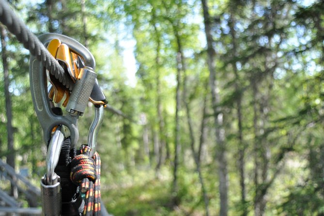 Denali Zipline Tour in Talkeetna, AK - Who should book this Talkeetna adventure