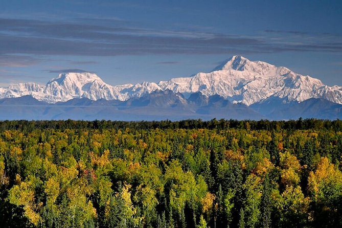 Denali Zipline Tour in Talkeetna, AK - Timing, group size, and cancellation details