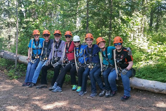 Denali Zipline Tour in Talkeetna, AK - What the strongest praise tells you