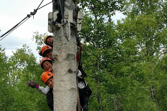 Denali Zipline Tour in Talkeetna, AK - Nine lines, with the pace picking up