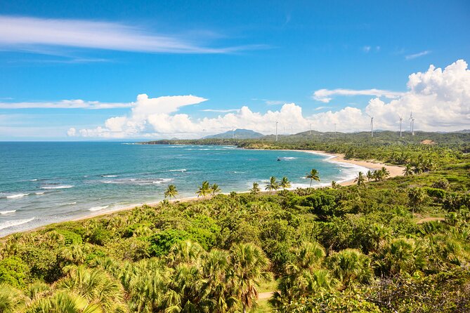 Double Thrill Experience: ATV or Dune Buggy & Zipline - Is $95.46 a fair price?