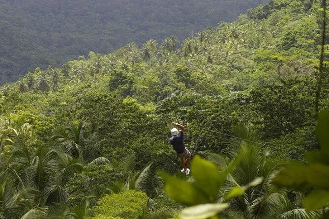 Drive and Fly - Buggy and Zipline - From Rodney Bay to the Rainforest