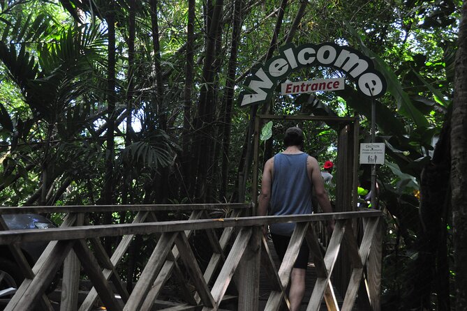 Drive and Fly - Buggy and Zipline - Who Should Book This Excursion?