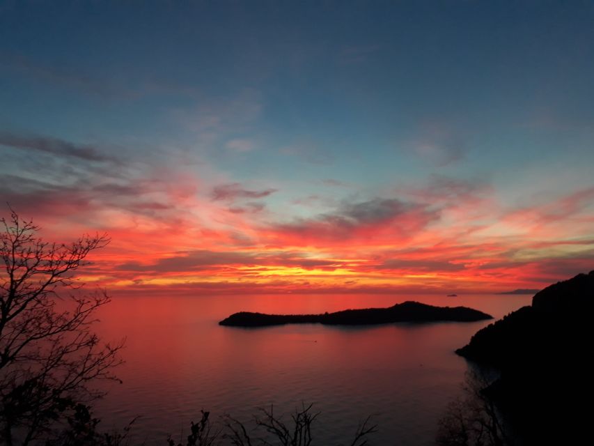 Dubrovnik: 900 Metre Superman Ziplining Adventure - Starting in the forest chill zone