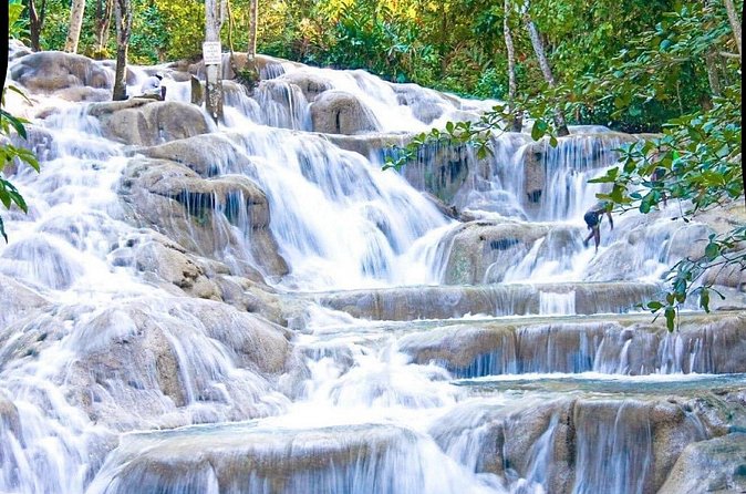 Dunn's River Falls and Park Tour with Zip Line from Montego Bay - What the private vehicle and guide add