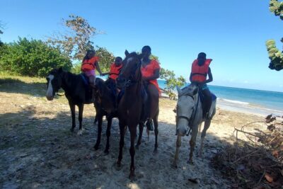 Dunn’s River Falls Climb, Zipline and Horseback Riding Private Tour